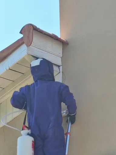 Recherche et destruction de nid de frelons à Valence, Cruas, Buit Nuisible 3D