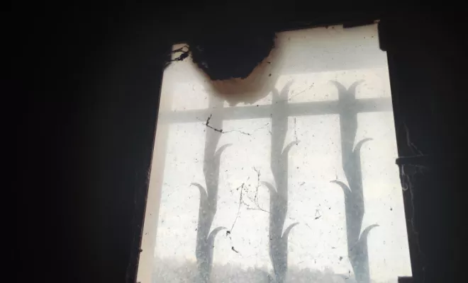 Recherche et destruction de nid de frelons à Valence, Cruas, Buit Nuisible 3D