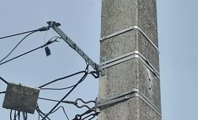 Recherche et destruction de nid de frelons à Valence, Cruas, Buit Nuisible 3D