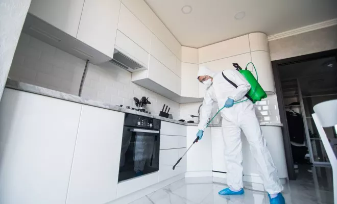 Travaux de désinfection, Cruas, Buit Nuisible 3D